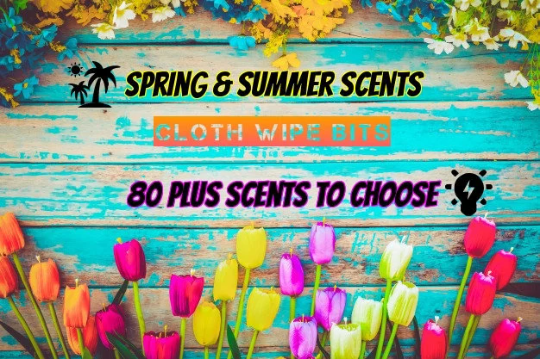 Summer & Spring Scents | Variety Pack Cloth Wipe Bits | Multi Use